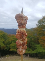 ロープウェイ乗...