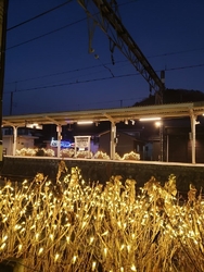 新高徳駅のイル...