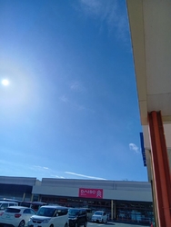 本日のオススメ...