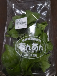 足利産の【アイ...