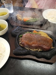 はやぶささんで...