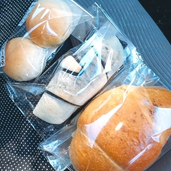 ここに来たなら...