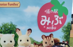 わんぱく公園で...
