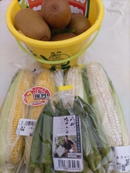 夫の実家にお中...