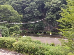 整備された足湯...
