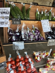 夏に行った時の...