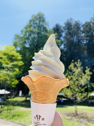 美味しいアイス...