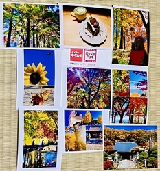 インターパーク...