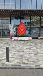 マイナンバーの...