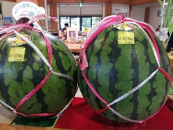 「与一の郷で[...
