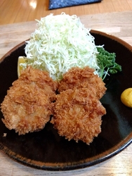 ランチでヒレカ...