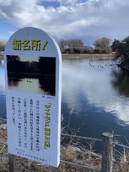 池を一周する遊...