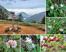 金精峠（標高2...