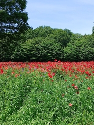 今日は、5月1...