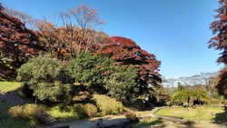 紅葉スポットを...
