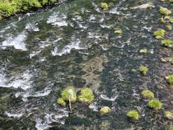 正に日光の清流...
