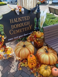 ステキな外観で...