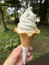 旦那の希望で那...