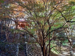 栃ナビ！さんの...