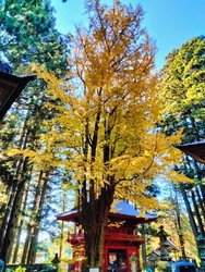 観音寺の近くの...