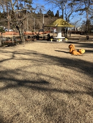 広い公園内には...