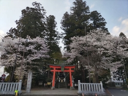 毎日木幡神社の...