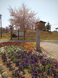 城山公園は行屋...