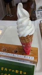 日光から向かい...