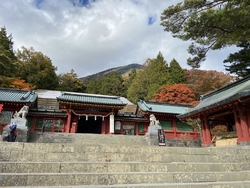 紅葉がとても美...