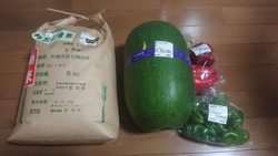 初めて買い物し...