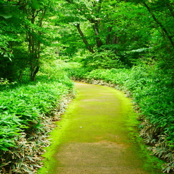 暑い時期、涼し...