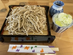 鹿沼に行ったの...