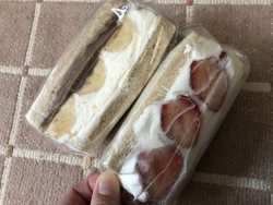 お久しぶりのサ...