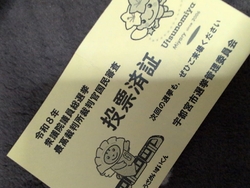 選挙の期日前投...