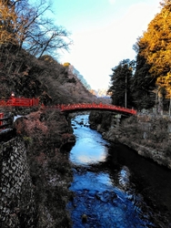 いつも写真を構...