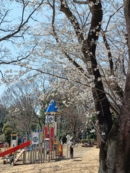 天気が良かった...