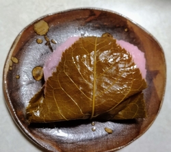 獨協医科大学病...