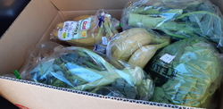 野菜を求めて行...