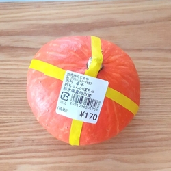 坊っちゃんかぼ...