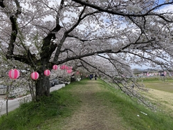 以前から気にな...