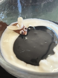 姪っ子のお薦め...
