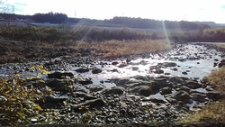 川霧の湯さんの...