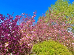 少しだけでもソ...