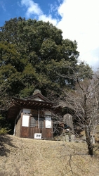 毎回見学する度...