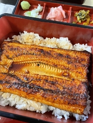 今回は1600...