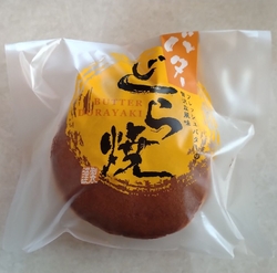 獨協医科大学病...