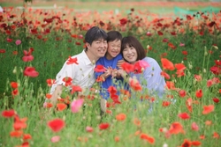投稿が遅くなり...
