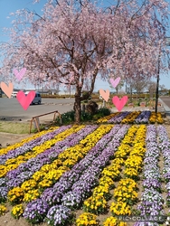 今年は例年より...