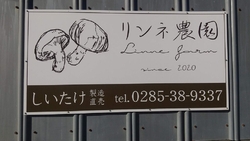 新鮮で美味しい...
