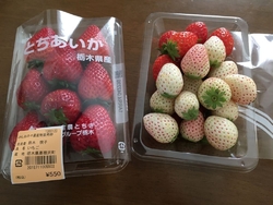 前回...